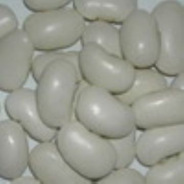 White Kidney Beans